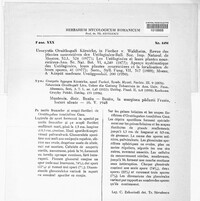 Image Associated With the Occurence